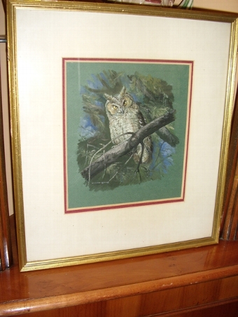 Antique PASTEL WATERCOLOUR & GOUACHE OF A YOUNG TAWNY OWL PERCHED ON A BRANCH