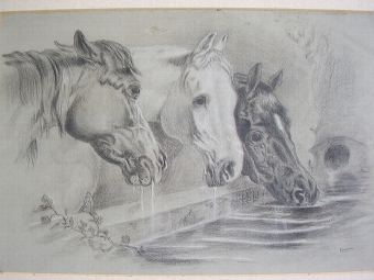 Antique PROFESSIONAL PENCIL DRAWING OF THREE HORSES DRINKING AT TROUGH SIGNED P.STAFFORD
