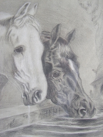 Antique PROFESSIONAL PENCIL DRAWING OF THREE HORSES DRINKING AT TROUGH SIGNED P.STAFFORD