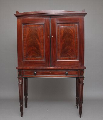 Early 19th Century mahogany collectors cabinet