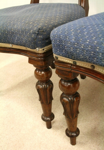 Antique Pair of William IV Rosewood Chairs