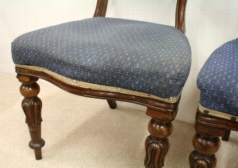 Antique Pair of William IV Rosewood Chairs