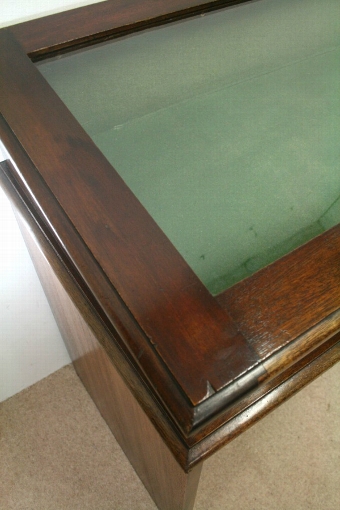 Antique Mahogany Framed Display Case