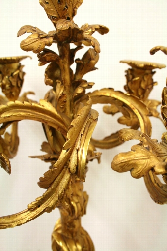 Antique Pair of Gilt Bronze Rococo Style Candelabra