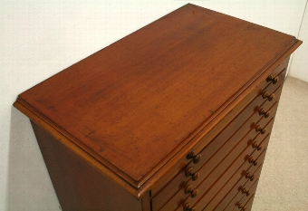 Antique Unusual Mahogany Specimen Cabinet/Wellington Chest