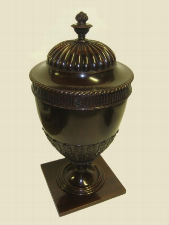 Antique Pair of George III Mahogany Cutlery Urns