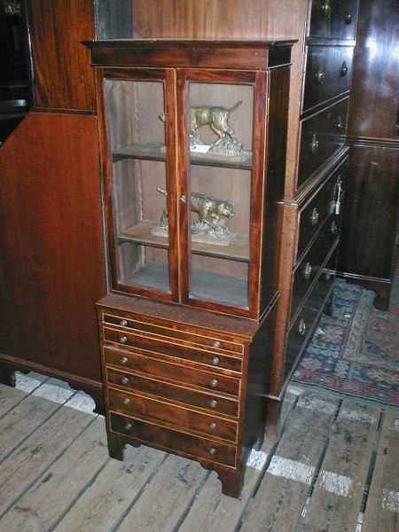 Small Inlaid Mahogany Cabinet Bookcase