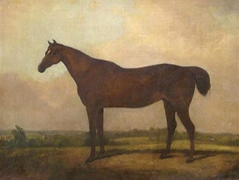 A bay Hunter in a landscape