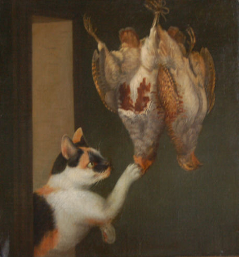 A cat in a game larder