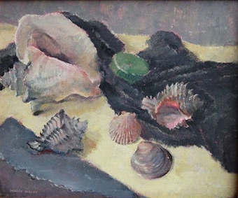 A conch and other sea shells
