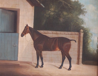 A horse by a stable