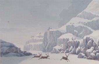 Barren ground, North America with deer in the foreground