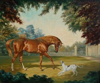 Lady Anne Lytton's Champion arab stallion " Manto" and her greyhound