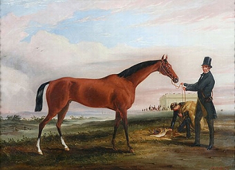 Portrait  of 'Malacca ' Winner of the Cambridge Stakes 1856