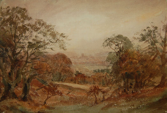 Richmond Park and Richmond Church in the distance