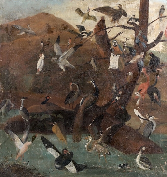 The Parliament of Birds