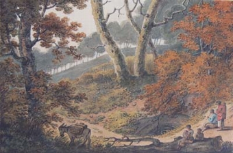 Travellers at a wooded clearing