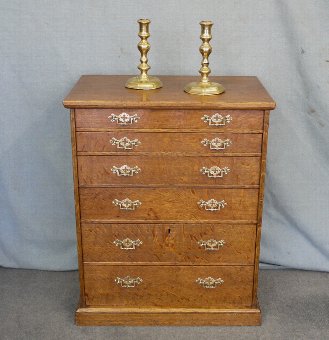 Small oak speciman chest of drawers