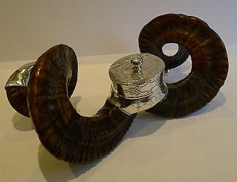 Grand Antique English Ram's Horn Snuff Mull c.1880