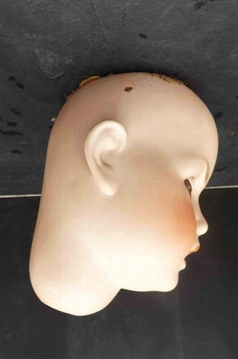 Antique Biske doll's head SH PB number 10 large sized 