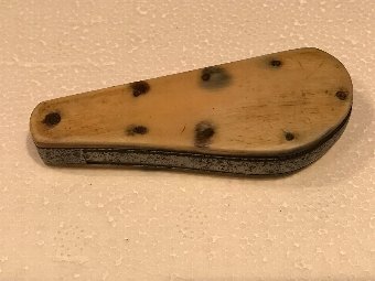Doctors Georgian bleed Knife