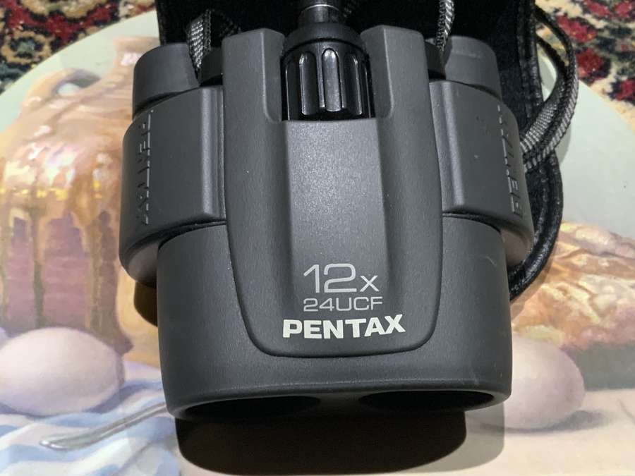 Pentax Compact binoculars 