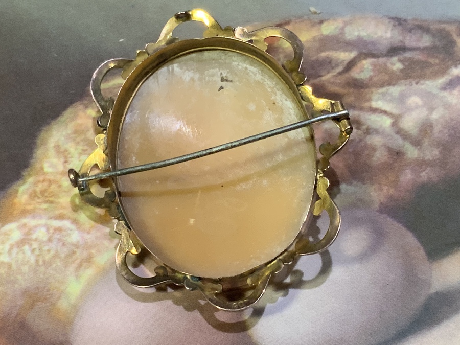 Antique Cameo gold framed stunning brooch 