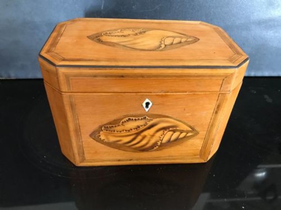 Tea caddy Satinwood with shell inlays
