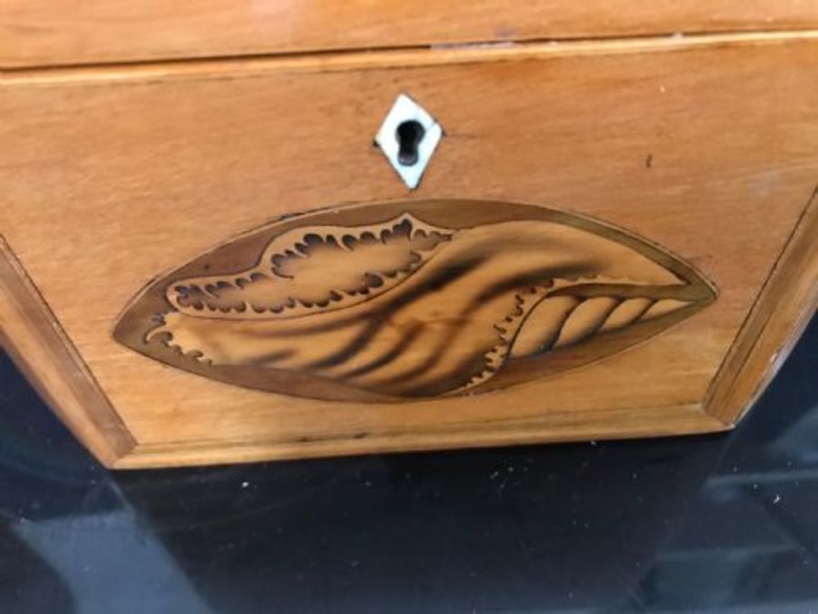 Antique Tea caddy Satinwood with shell inlays