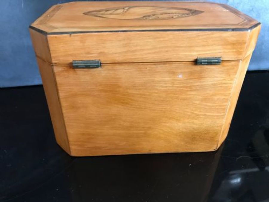 Antique Tea caddy Satinwood with shell inlays