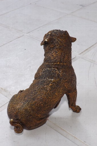 Antique Austrian cold painted Pugh dog signed stunning quality. CB