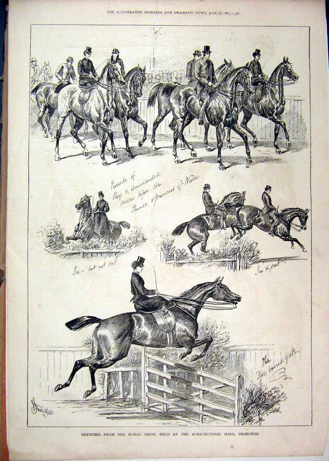 Print 1877 Sketches Horse Show Agricultural Hall I