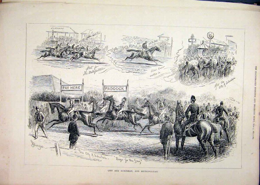Print 1877 City Suburban Metropolitan Horses Paddo