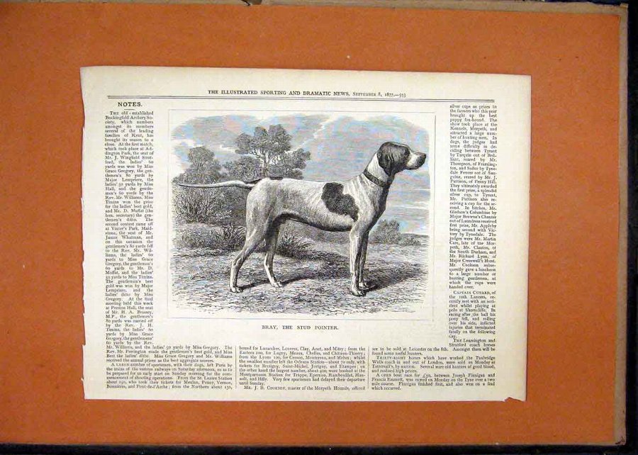 Print 1877 Portrait Dog Bray Stud Pointer Country