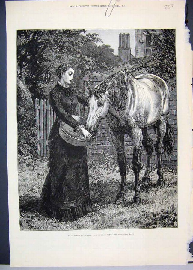 Print 1879 Woman Feeding Horse Country Scene Fine