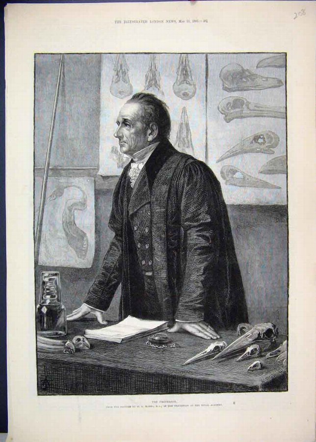 Print 1883 Professor Bones Marks Royal Academy Art