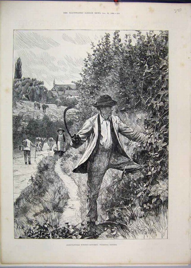 Print 1886 Agricultural Scene October Trimming Hed