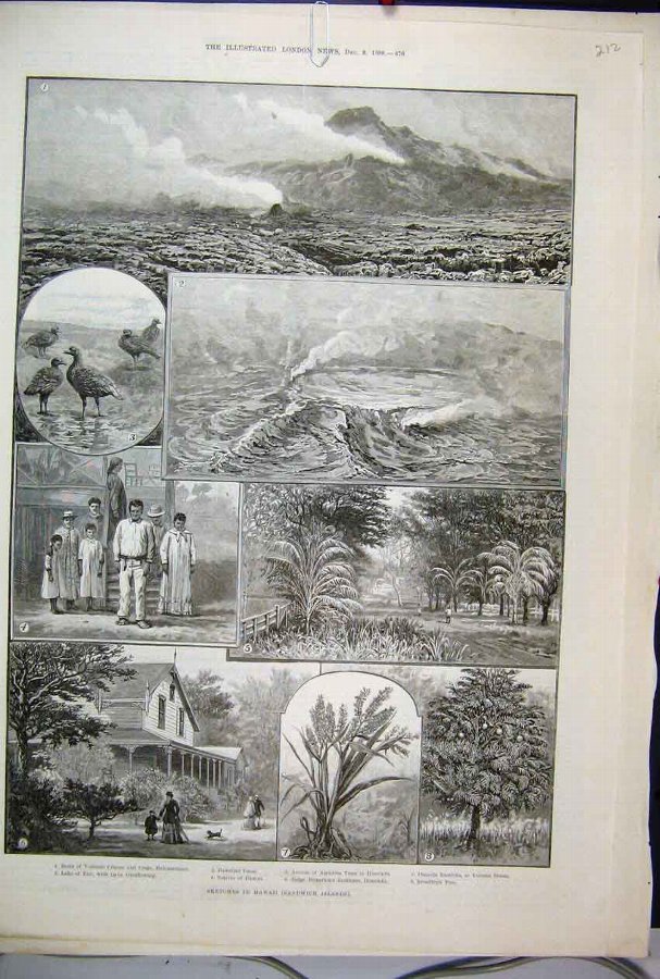 Print 1888 Hawaii Sandwich Island Geese Volcano Ho