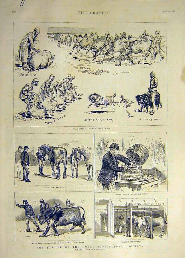 Print 1889 Royal Agricultural Society Jubilee Show