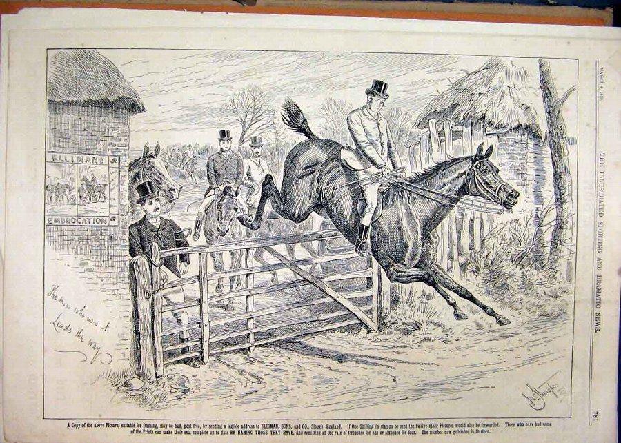 Print 1890 Advert Ellimans Embrocation Horse Jumpi