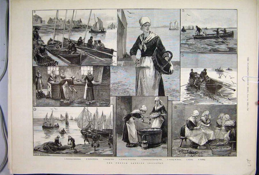 Print 1890 French Sardine Industry Fishermen Workw