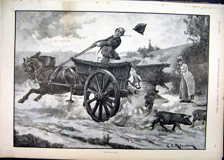 Print 1892 Horse Cart Man Pigs Escape Country Scen