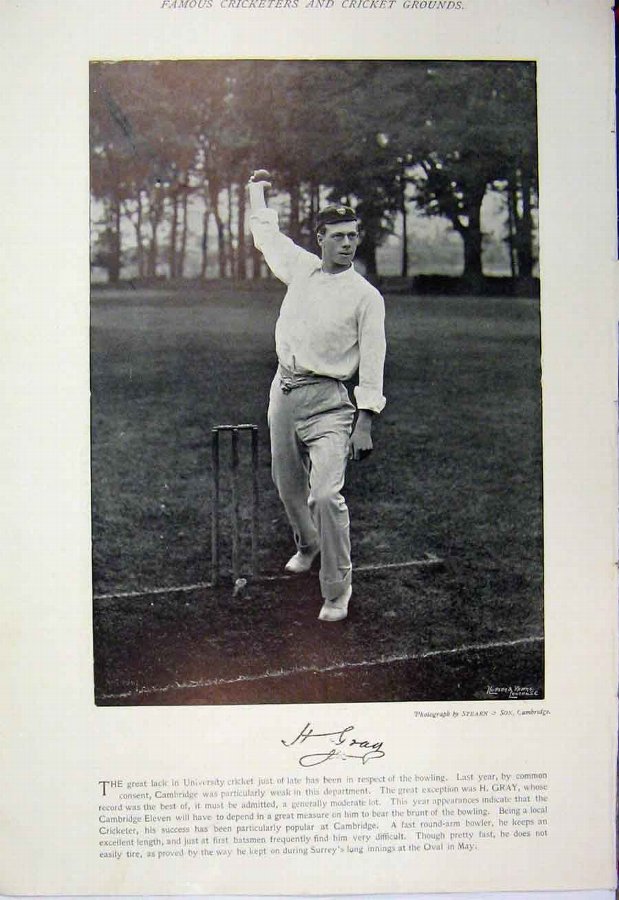 Print 1895 Cricket Player Gray Wilson Sport Photog