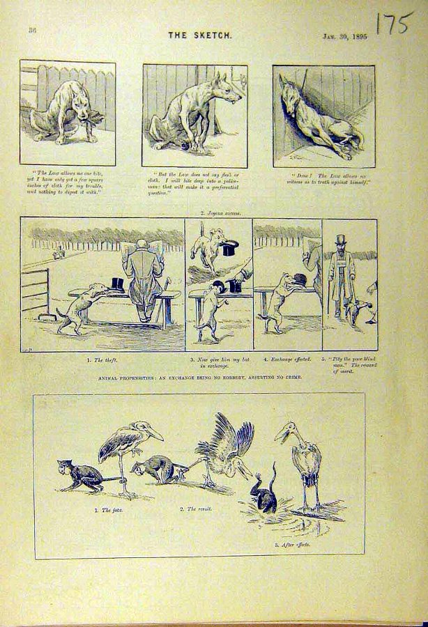 Print 1895 Animal Propensities Dog Stork Monkey Bl