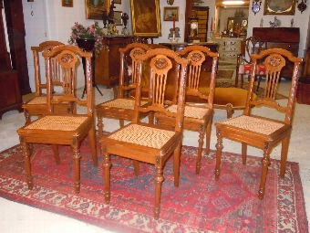 Antique Super elegant Set of 6 French Louis XVI Style caned solid oak dining chairs