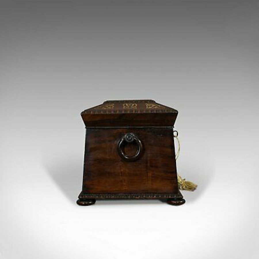 Antique Antique Tea Caddy, English, Rosewood, Chest, Thomas of London, Regency, C.1820