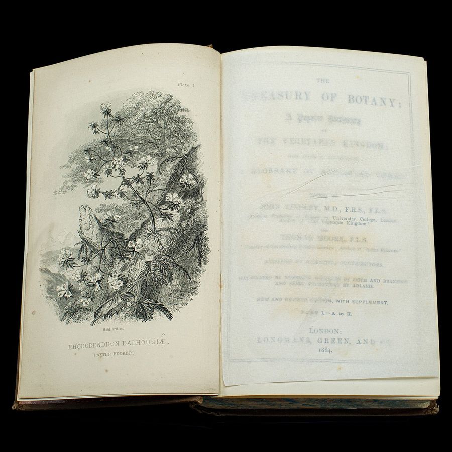 Antique Antique Treasury Of Botany, Vol 1&2, English Language, Reference Book, Victorian