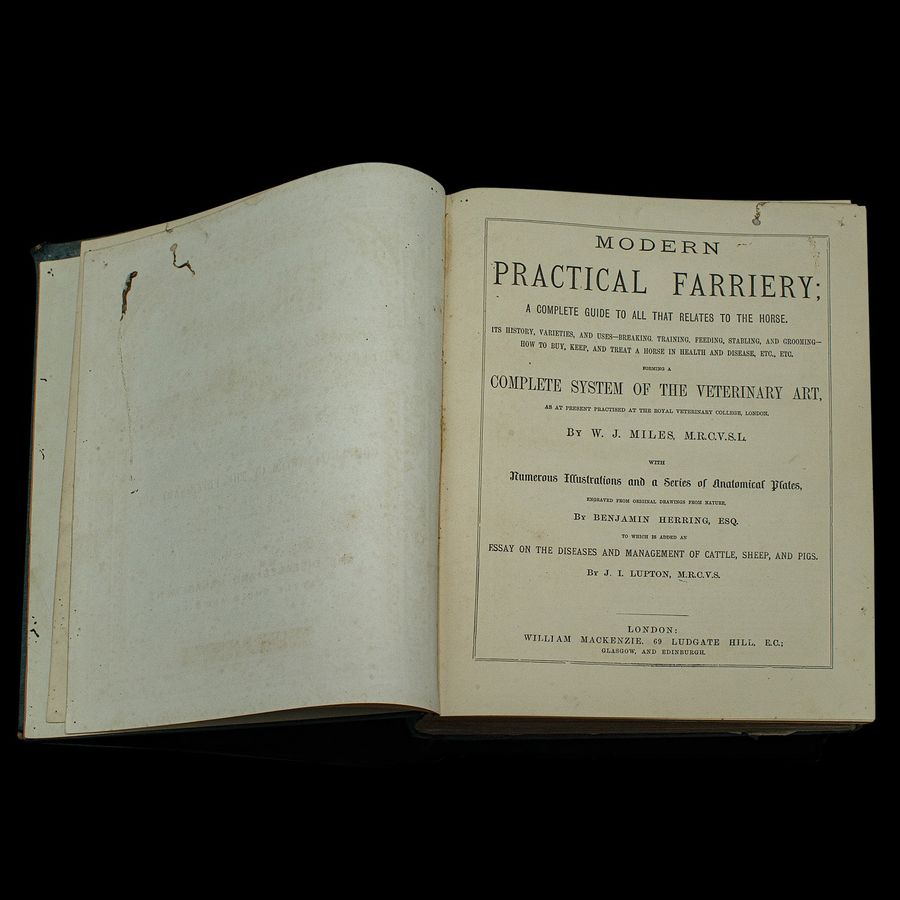 Antique Large Antique Book, Modern Practical Farriery, WJ Miles, English, Circa 1900