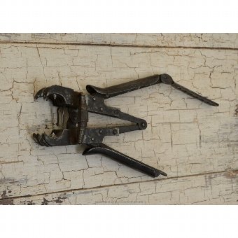 Antique Tri-Clamp pressure pliers