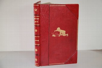 Pooh Bear, Now we are six, Rare 1st edition